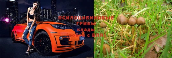 марки nbome Баксан