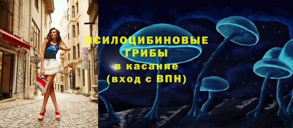 гашик Балахна