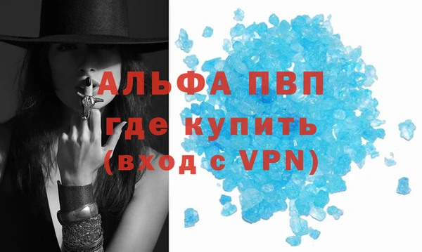 гашик Балахна